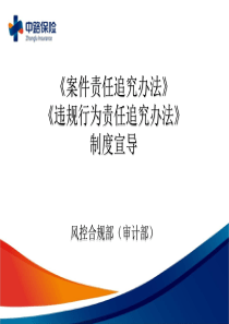 《违法违规案件责任追究》制度宣导（27P）PPT模板