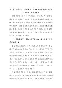 关于对不忘初心牢记使命主题教育整改落实情况进行回头看的总结报告