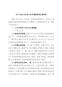 关于2023年全县文化和旅游局的汇报材料