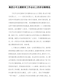 集团公司主题教育工作会议上的讲话稿精选