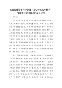 在D组理论学习中心组凝心铸魂筑牢根本专题研讨交流会上的发言材料