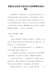 【精品】总结实习报告范文样例集聚【范例4篇】