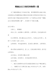 精编会议方案范例集聚5篇