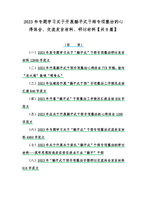 2023年专题学习关于开展躺平式干部专项整治的心得体会、交流发言材料、研讨材料【共8篇】