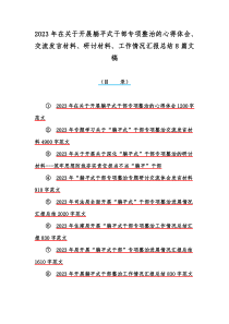 2023年在关于开展躺平式干部专项整治的心得体会、交流发言材料、研讨材料、工作情况汇报总结8篇文