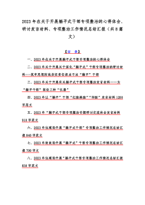 2023年在关于开展躺平式干部专项整治的心得体会、研讨发言材料、专项整治工作情况总结汇报（共8篇