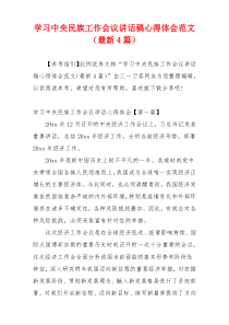 学习中央民族工作会议讲话稿心得体会范文（最新4篇）