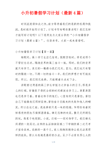 小升初暑假学习计划（最新4篇）