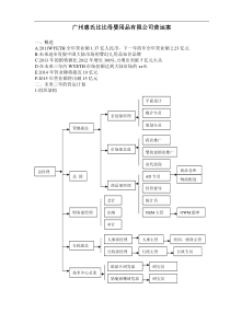 广州惠氏比比母婴用品有限公司营运案(DOC 34页)