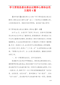 学习贯彻县委全委会议精神心得体会范文通用4篇