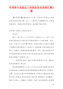 专项审计见面会上的表态发言范例汇聚5篇