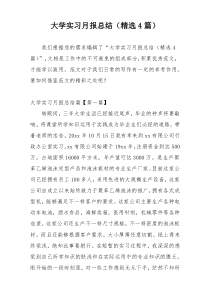 大学实习月报总结（精选4篇）