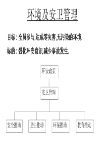 总管理处新人安卫教育