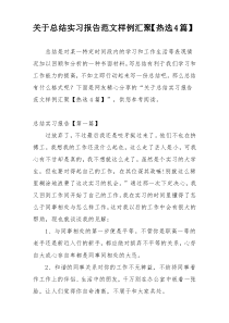 关于总结实习报告范文样例汇聚【热选4篇】