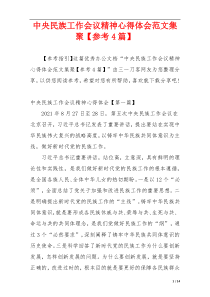 中央民族工作会议精神心得体会范文集聚【参考4篇】