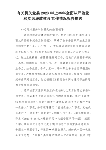 有关机关党委2023年上半年全面从严治党和党风廉政建设工作情况报告推选