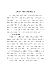 (报告材料)关于2023年电信公司的调研报告