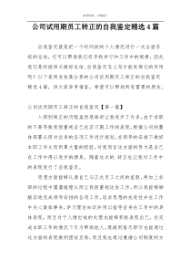 公司试用期员工转正的自我鉴定精选4篇