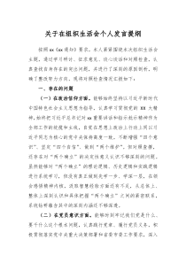 关于在组织生活会个人发言提纲