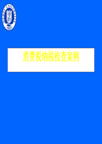 消费税纳税检查案例（PPT 9）