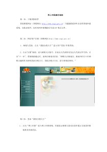 涉外企业所得税年度网上申报操作指南(企业版)