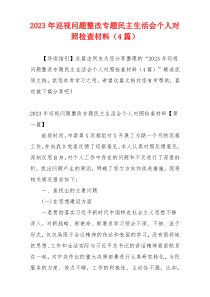 2023年巡视问题整改专题民主生活会个人对照检查材料（4篇）