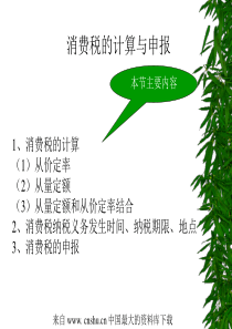 消费税的计算与申报--消费税的计算(ppt 24)