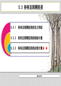 第5章投资(持有至到期投资)