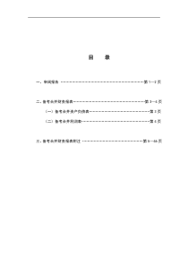 九洲电气审阅报告