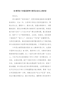 (领导讲话)XX领导在十四届县委审计委员会会议上的讲话