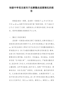 初级中学党支部关于巡察整改进展情况的报告