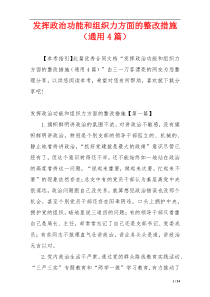 发挥政治功能和组织力方面的整改措施（通用4篇）