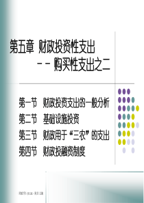 第五章财政投资性支出-购买性支出之二(财政学-第5版,