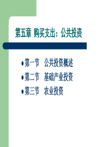 第五章购买支出公共投资