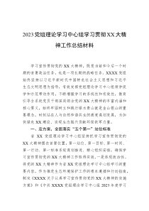 2023党组理论学习中心组学习贯彻XX大精神工作总结材料