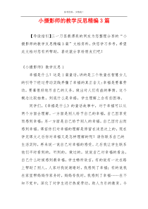 小摄影师的教学反思精编3篇