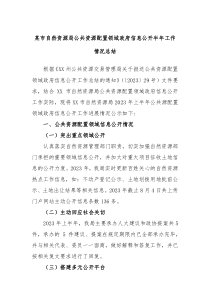 某市自然资源局公共资源配置领域政府信息公开半年工作情况总结