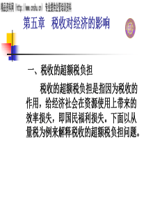 税收对经济的影响