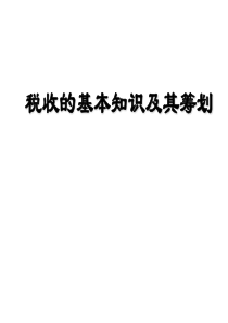 税收的基本知识及其筹划(ppt 72)(2)