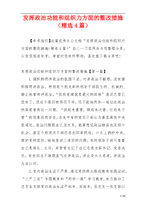 发挥政治功能和组织力方面的整改措施（精选4篇）