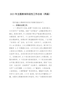 2023年主题教育阶段性工作总结（两篇）