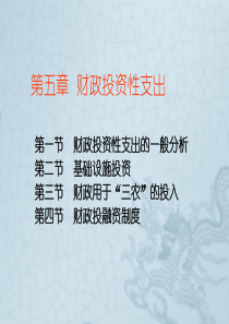 财政与税收_第五章财政投资性支出