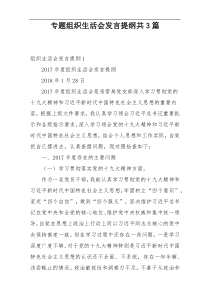 专题组织生活会发言提纲共3篇