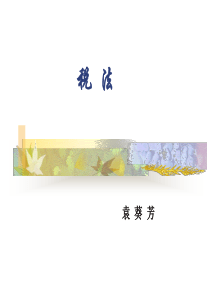 税法袁葵芳