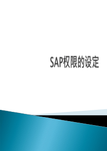 SAP 权限管理