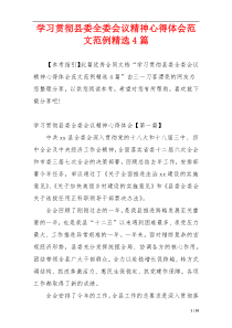 学习贯彻县委全委会议精神心得体会范文范例精选4篇