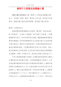 教师个人研修总结精编3篇