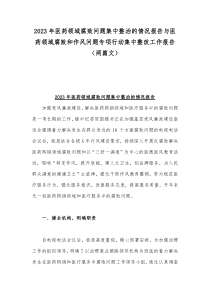 2023年医药领域腐败问题集中整治的情况报告与医药领域腐败和作风问题专项行动集中整改工作报告（两