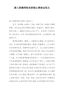 新入职教师校本研修心得体会范文