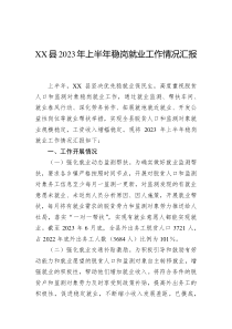 (办公参考)XX县2023年上半年稳岗就业工作情况汇报